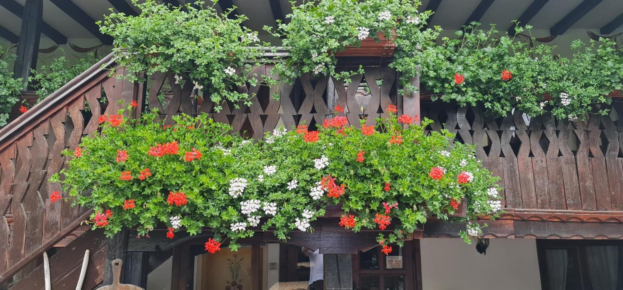 Стаи За Гости The Old House Velingrad Exterior foto